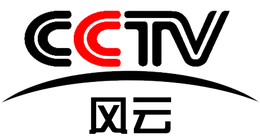 CCTV 风云频道标识